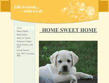Tablet Screenshot of lifeisgoodwithalab.com